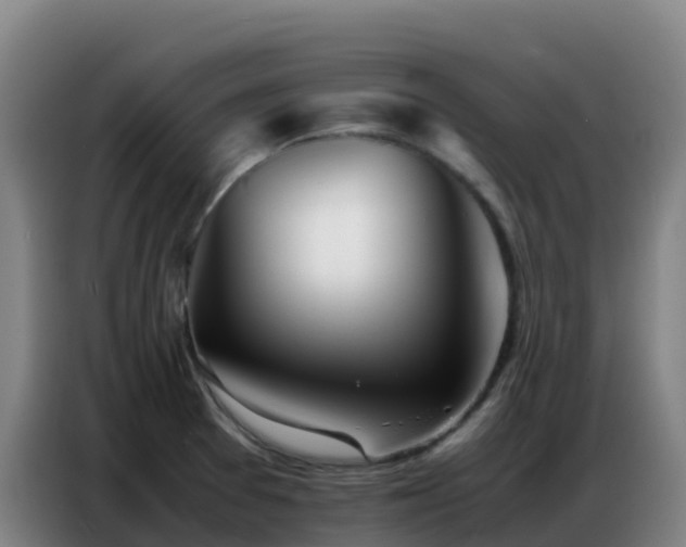 X0000086741377200704201657