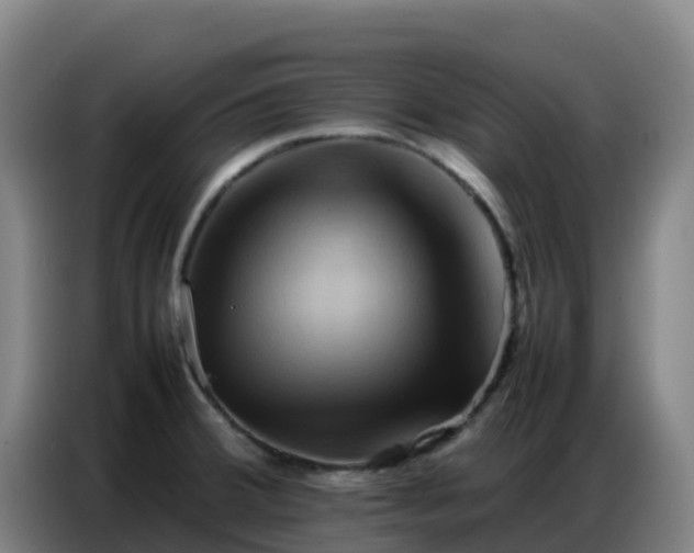 X0000086741380200704201657