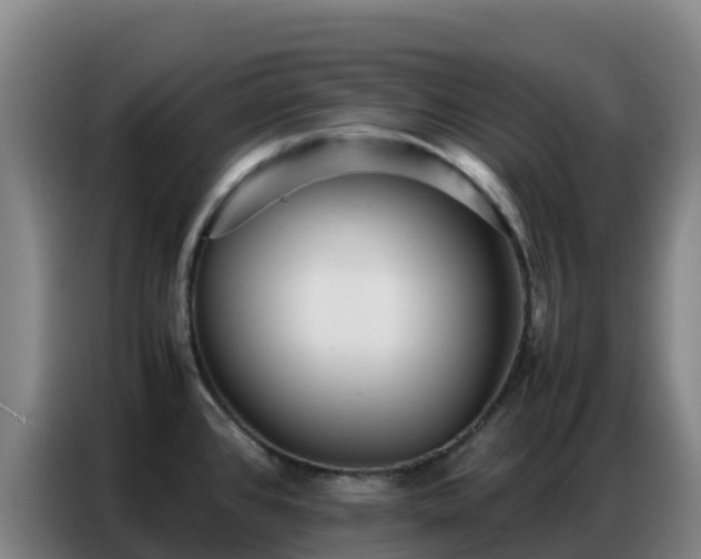 X0000086741384200704201657