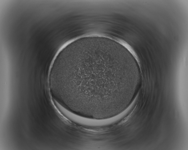 X0000086741388200704201657