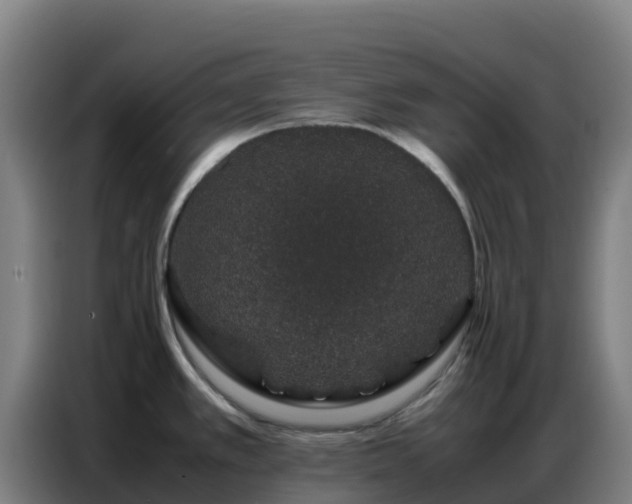 X0000086741389200704201657