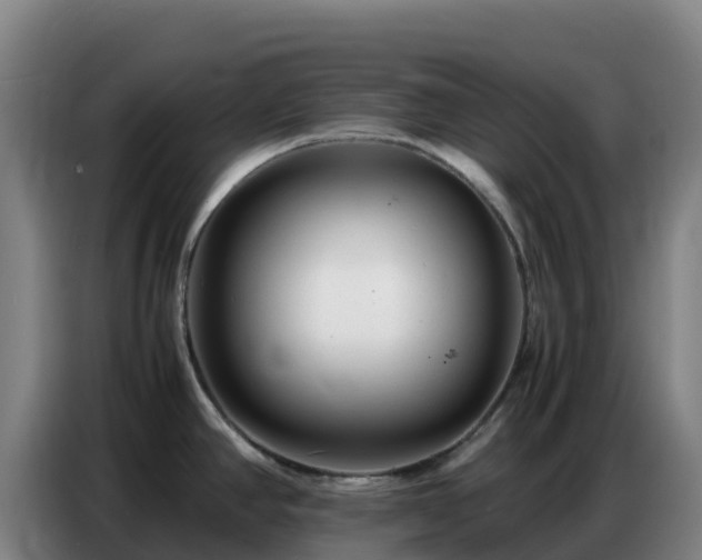 X0000086741390200704201657