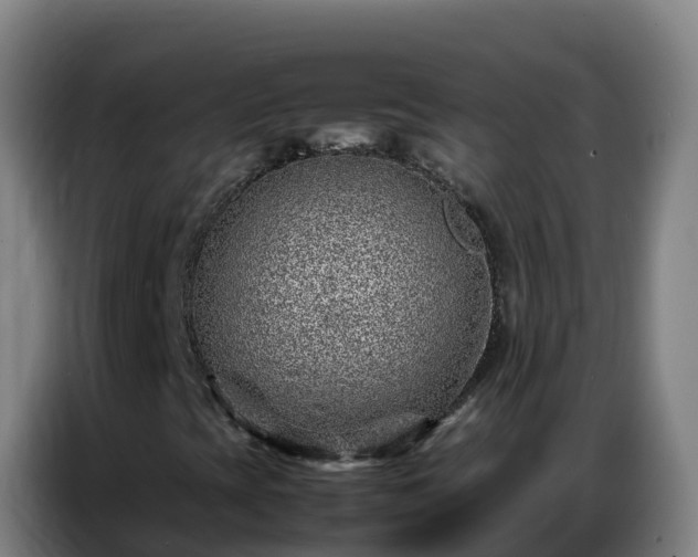 X0000086741393200704201656