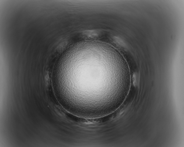 X0000086741395200704201656