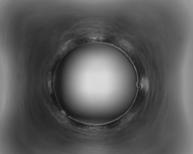 X0000086741396200704201656