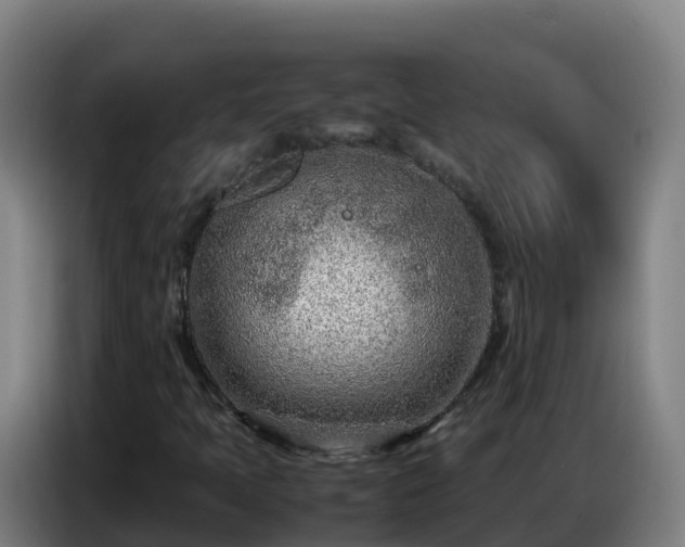 X0000086741397200704201656