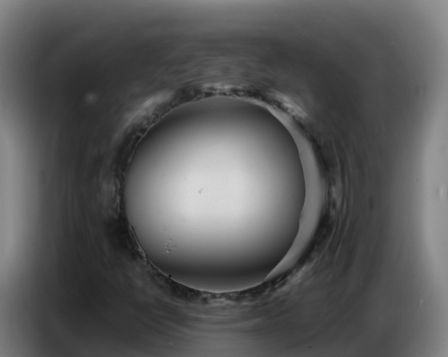 X0000086741398200704201656