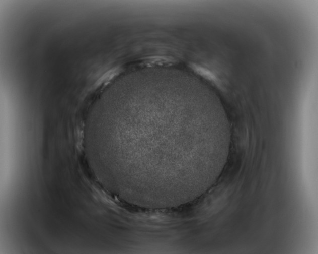 X0000086741399200704201656