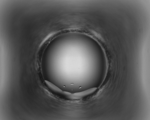 X0000086741400200704201656