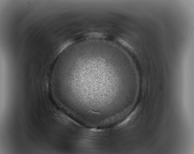 X0000086741401200704201656