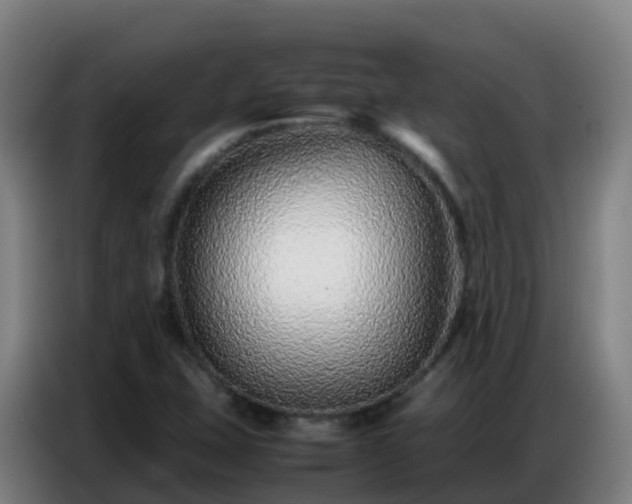 X0000086741407200704201657