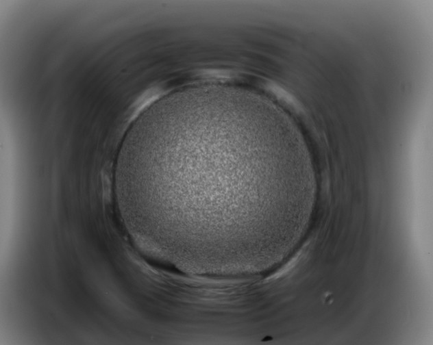 X0000086741409200704201657