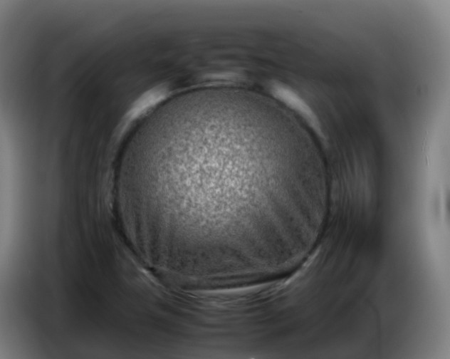 X0000086741411200704201657