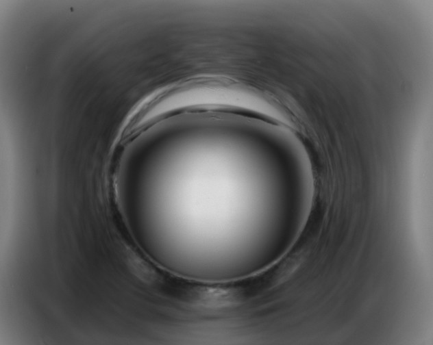 X0000086741412200704201657