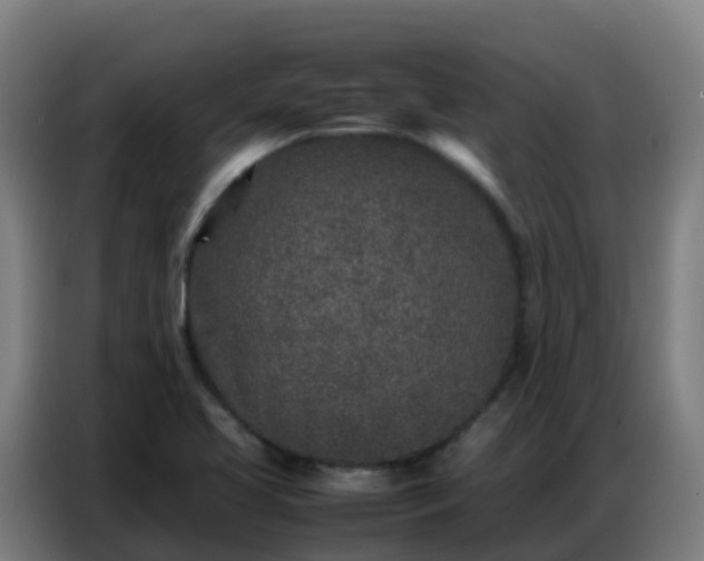 X0000086741413200704201657