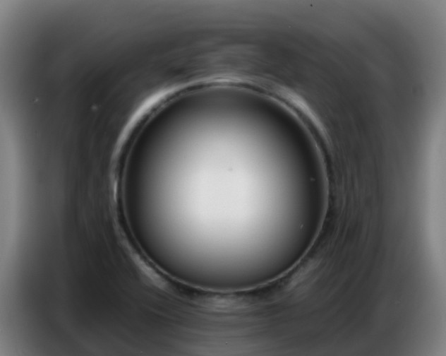 X0000086741416200704201657