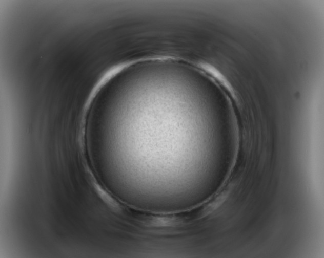 X0000086741421200704201657