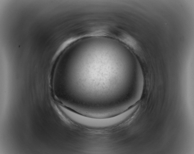 X0000086741422200704201657