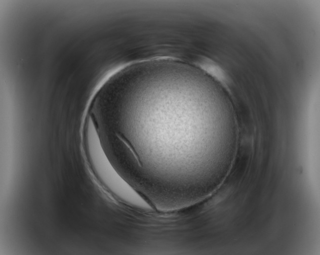 X0000086741423200704201657