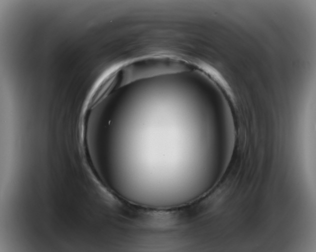 X0000086741424200704201657