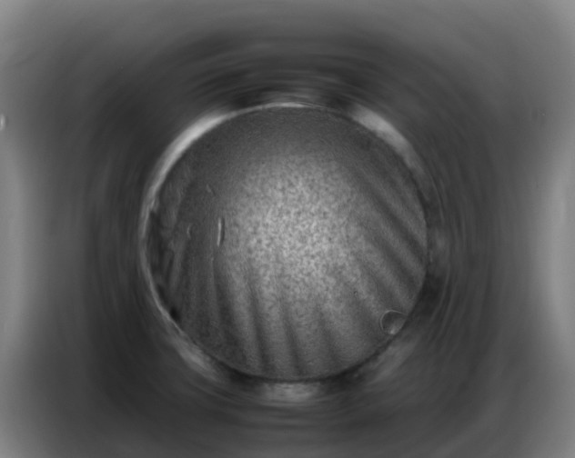 X0000086741427200704201657