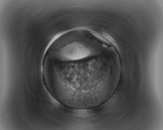 X0000086741428200704201657