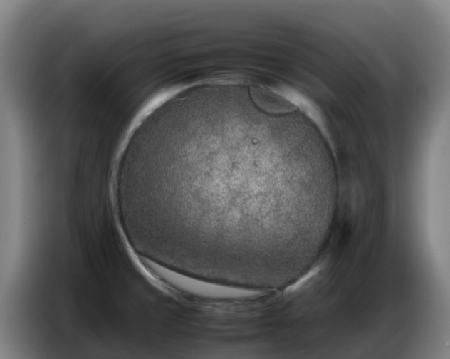 X0000086741429200704201657