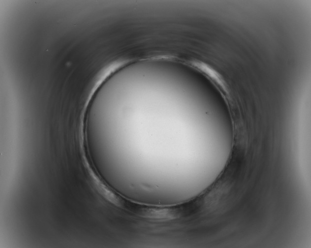 X0000086741431200704201657