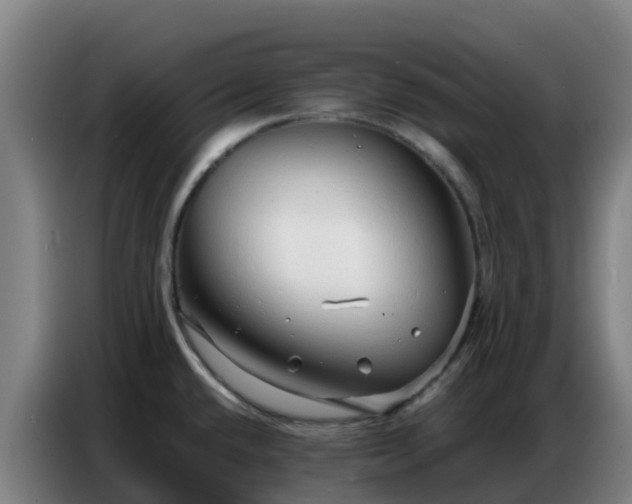 X0000086741432200704201657