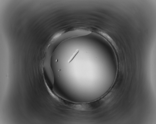 X0000086741433200704201657
