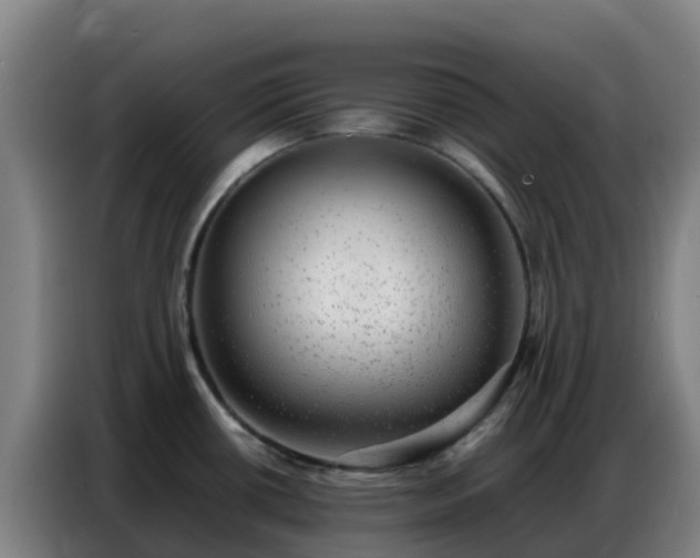 X0000086741434200704201657