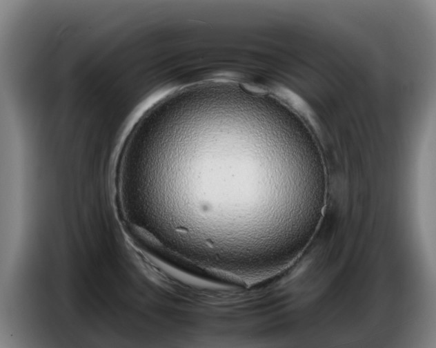 X0000086741435200704201657