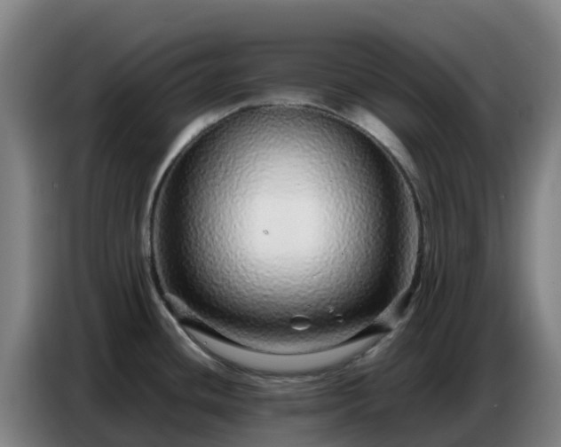 X0000086741436200704201657
