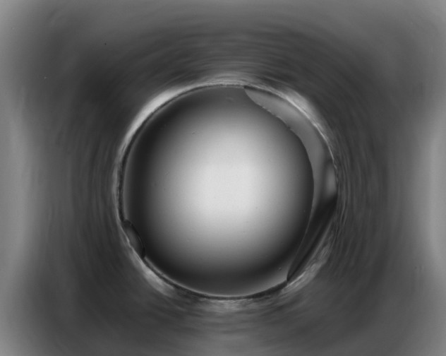 X0000086741438200704201657