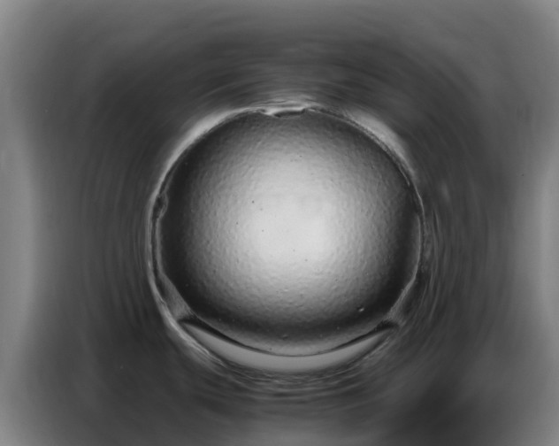 X0000086741439200704201657