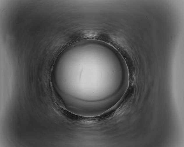 X0000086741441200704201656