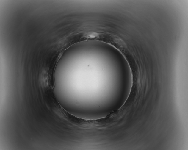 X0000086741442200704201656