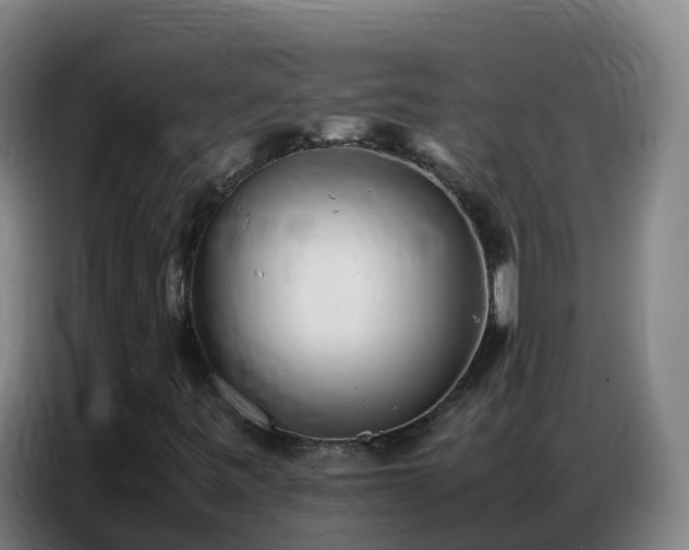 X0000086741443200704201656
