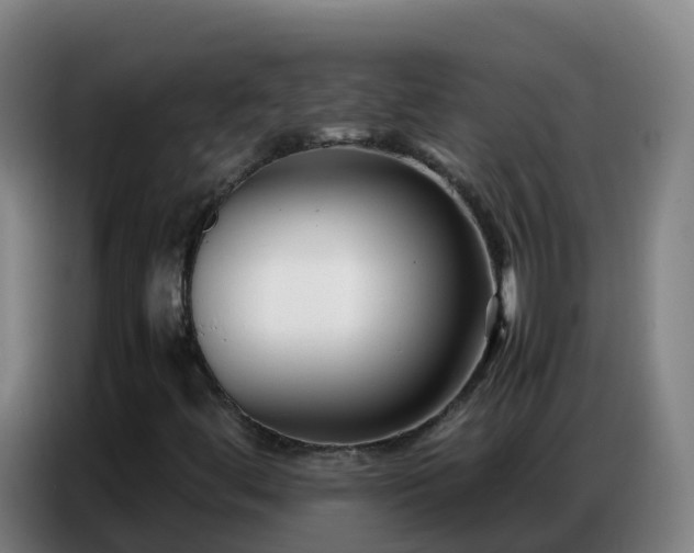 X0000086741444200704201656