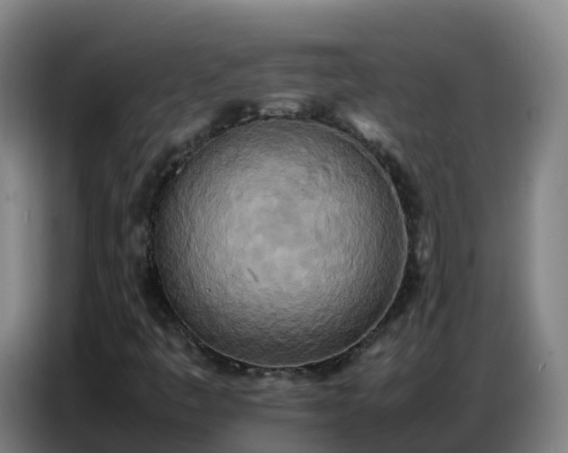 X0000086741445200704201656