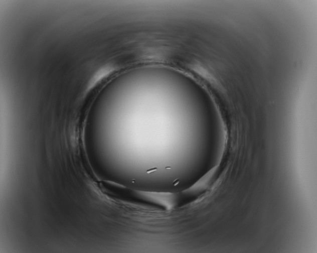 X0000086741450200704201656