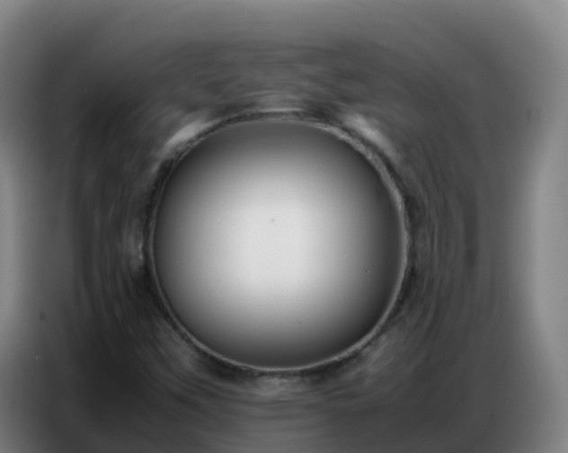 X0000086741451200704201656