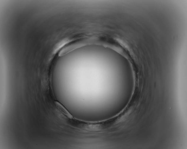 X0000086741453200704201656