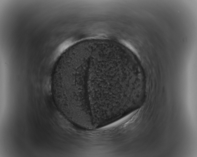 X0000086741455200704201656