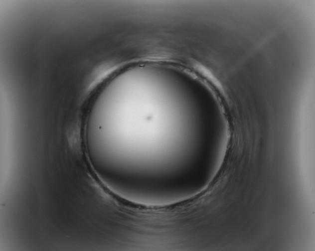 X0000086741456200704201656