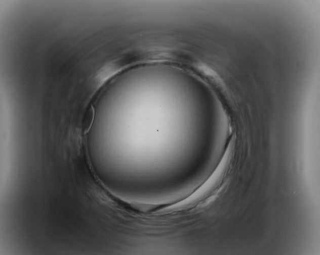 X0000086741457200704201656
