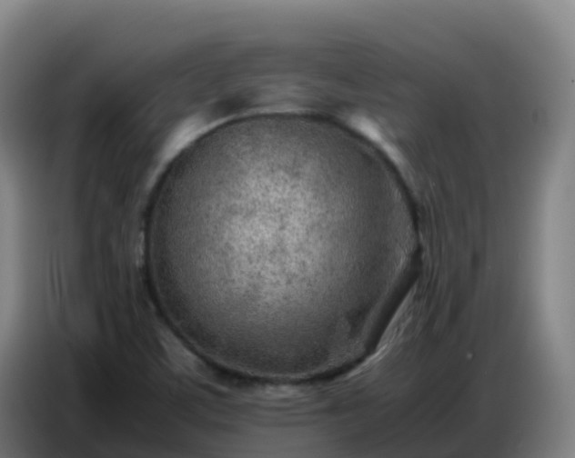 X0000086741459200704201656