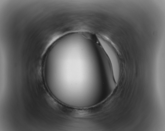 X0000086741460200704201656