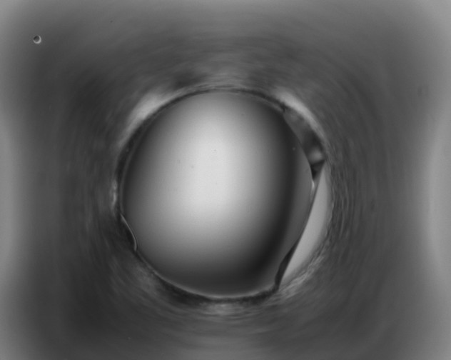 X0000086741461200704201656
