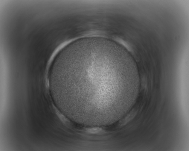 X0000086741462200704201656